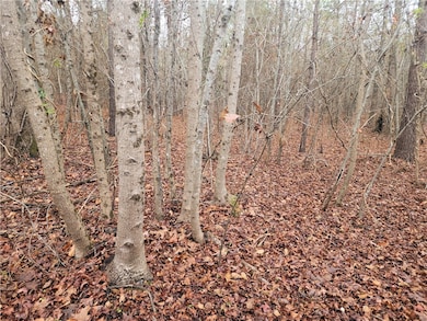 00 Scott Ln, Pelzer, SC 29669 - photo 4