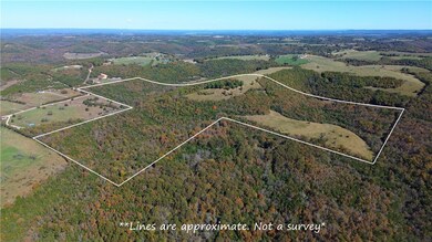 160 Acres Rushing Ridge Rd, Harrison, AR 72601 - photo 6