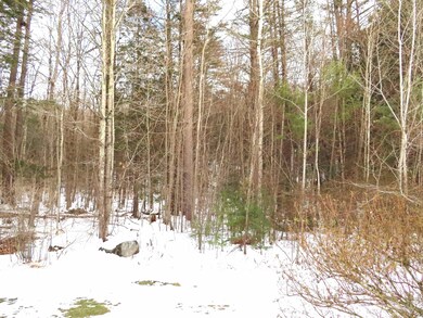 Woodland view from this unit
