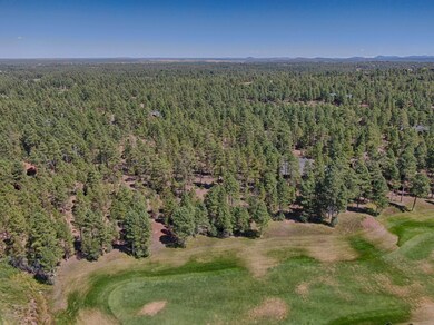 4041 W. Ninebark Torreon Land for Sale 9