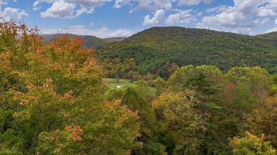 263 Alto Rd, Vesuvius, VA 24483 - photo 3