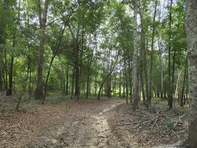 tbd County Line Rd, Pelham, GA 31779 - photo 2