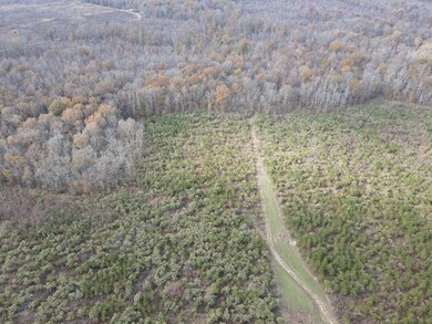 1526 Coal Bluff Rd, Lena, MS 39094 - photo 7