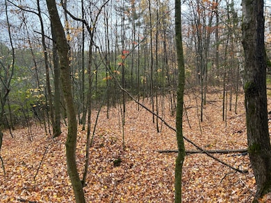 ON Sunset Rd, Elcho, WI 54428 - photo 6