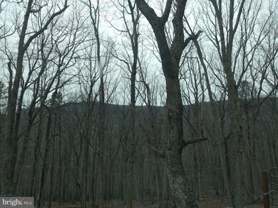 6.42 ACRES Mount Top Rd, Lost River, WV 26810 - photo 4
