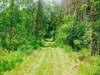 299 Middleline Rd, Ballston Spa, NY 12020 - photo 7