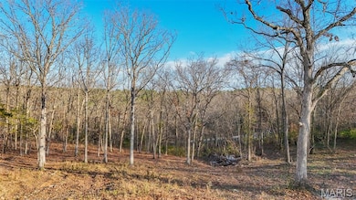 15316 Hargis Ct, Cold Spring Township, MO 65401 - photo 3