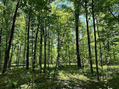 100AC ON 28th Ave N, Merrill, WI 54452 - photo 3