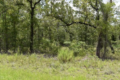 TBD Red Oak Rd unit Lot 193, Perry, FL 32348 - photo 6