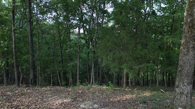 TBD Jerico Rd, Golden, MS 38847 - photo 7