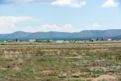 000 N Riesling Ln, Paulden, AZ 86334 - photo 7