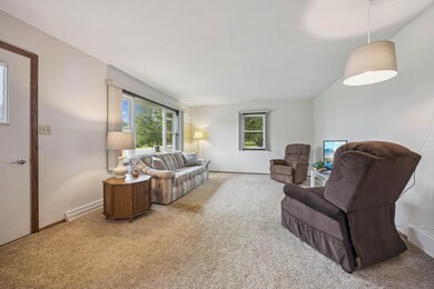 509 3rd St S, Watkins, MN 55389 - photo 7