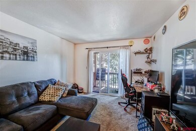 300 W 32nd St unit 105, Durango, CO 81301 - photo 7