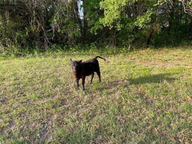 1002 County Road 4699, Boyd, TX 76023 - photo 7