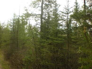 Murphy creek trail 20 and 40 ac parcel 0
