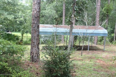 3977 Michaelwood Rd, Middleburg, FL 32068 - photo 3