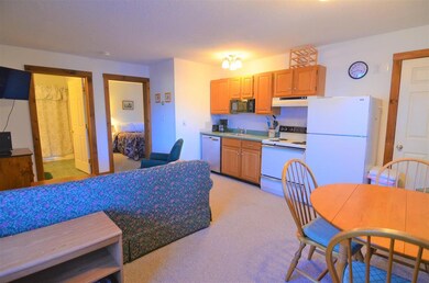 30 Pond St unit 7, Ludlow, VT 05149 - photo 3