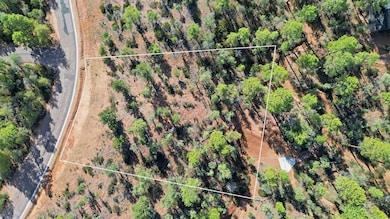 1302 N Karen Way, Payson, AZ 85541 - photo 3