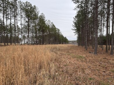 1080 Crockett Loop, Jasper, TN 37374 - photo 4