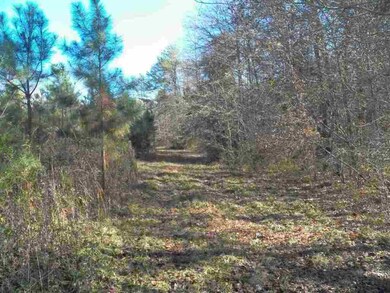 00 Blue Ridge Riding Club Rd, West Union, SC 29696 - photo 6