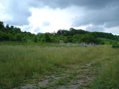 2015-06-03 13.54.11