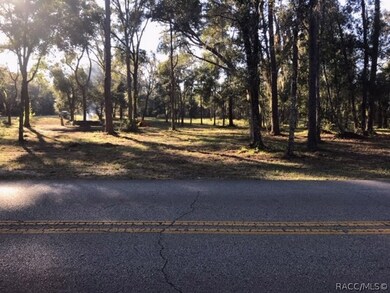 1879 E Ridgefield Dr, Hernando, FL 34442 - photo 4