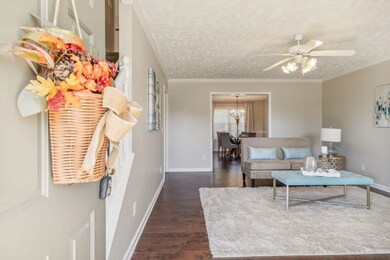 1528 Quantum Ct, Murfreesboro, TN 37128 - photo 4