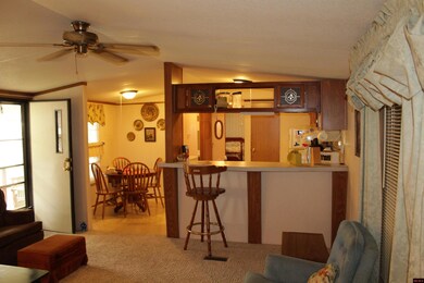 661 Nubbin Ridge Rd unit 31, Lakeview, AR 72642 - photo 6