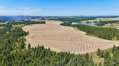 TBD Four Mile Rd, Weippe, ID 83553 - photo 3