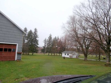 Yard/Garden.