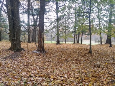 IMG_20191108_130838128_HDR