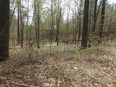 730 Clayton Rd, Sheffield, MA 01222 - photo 2