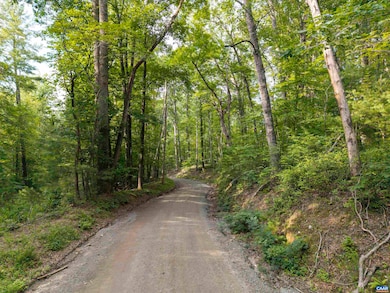 TBD Decca Ln, Charlottesville, VA 22901 - photo 5