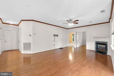 5004 Willow Branch Way, Owings Mills, MD 21117 - photo 4
