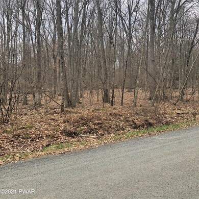 838 Muldovan Dr, Lackawaxen Township, PA 18428 - photo 4