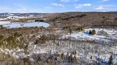 0, Otselic, NY 13815 - photo 6