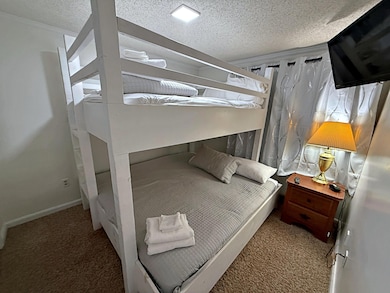 237 Mountain Lodge, Snowshoe, WV 26209 - photo 2