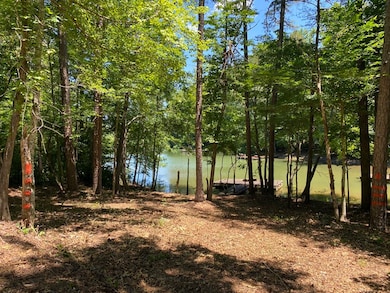 13 & 13A River Trail, Martin, GA 30557 - photo 3