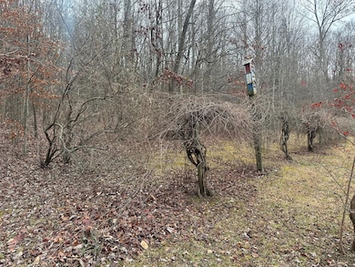 120.62 Browns Hollow Rd, Tracy City, TN 37387 - photo 7