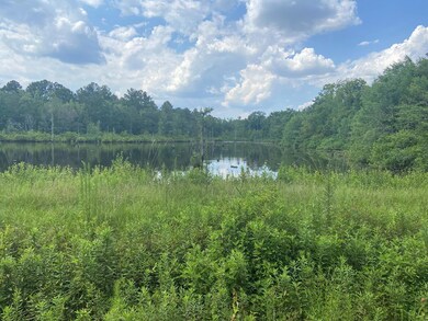 1793 Firetower Rd, Enigma, GA 31749 - photo 2