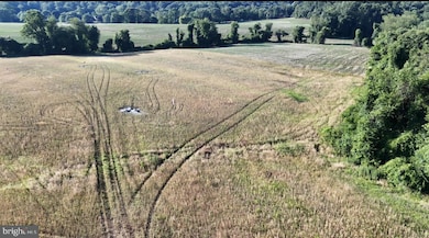 2517 Port Ln, Fallston, MD 21047 - photo 7