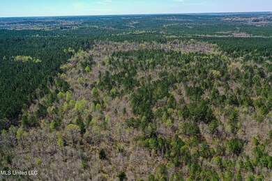 DJI_0639
