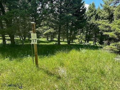 LOT 17