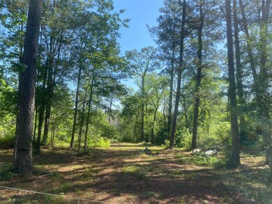 10705 Fm 1409 East Side, Dayton, TX 77535 - photo 6