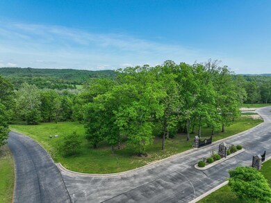 DJI_0418