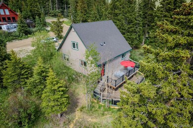 46 McDill Rd, Breckenridge, CO 80424 - photo 4