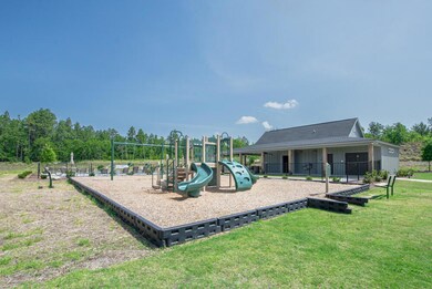 Neighborhood Play Ground