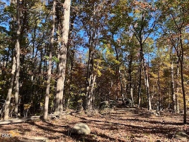 9 Buttonwood Ln, Roxboro, NC 27574 - photo 3