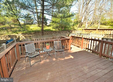 3632 Ransom Place, Alexandria, VA 22306 - photo 7