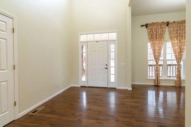 435 Trigger Cove Rd, Kirbyville, MO 65679 - photo 5